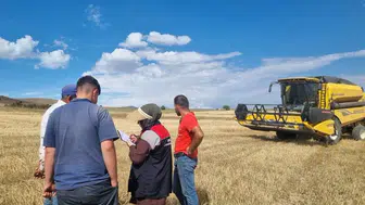 Bayburt'ta hububat hasadı için biçerdöver denetimleri devam ediyor