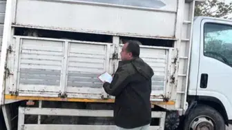 Hayvanları belgesiz sevk edenlere yasal işlem başlatıldı