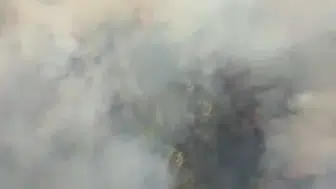 Manisa'da orman yangını: Ekipler karadan ve havadan müdahale ediyor