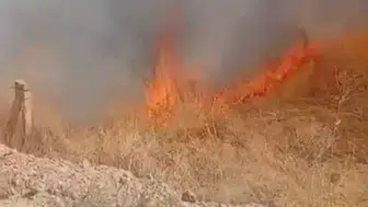 Ereğli’de iki farklı bölgede yangın paniği: Ekipler zamanında müdahale etti