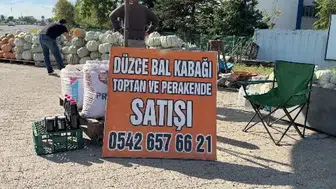 Düzce kabağının ünü uluslararası alanda yaygınlaşıyor