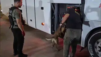 Şanlıurfa'da otobüs bagajından çıkan uyuşturucu, 69 bin kişiyi zehirleyebilir