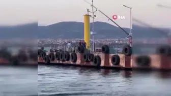 Gölcük'te denizde erkek cesedi tespit edildi