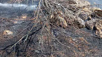 Bilecik'te köy yakınında başlayan ot yangını kontrol altına alındı