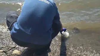 Çanakkale'de Atikhisar Baraj Gölü'ndeki balık ölümleri için inceleme başlatıldı
