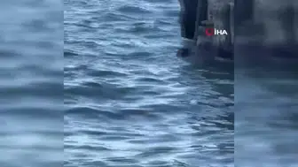 İzmir'de denizde boğulma tehlikesi geçiren vatandaşı polis ekipleri kurtardı