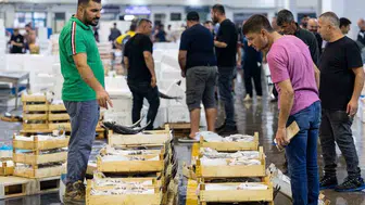 Başkan Tugay, sezonun ilk balık mezatını açtı