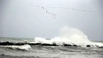 Karadeniz'de fırtına uyarısı: Rüzgar hızı 75 kilometreyi bulacak
