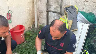 Erdek’te sıkışan yavru kedi itfaiye ekiplerinin yardımıyla kurtarıldı