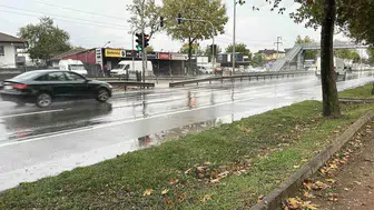 Sakarya’da köpek vatandaşı ısırarak sürükledi, anlar kamerada