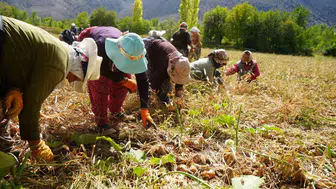 Erzincan'da tarım için dev hibe desteği: 169,6 milyon lira