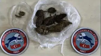 Bingöl'de güvenlik operasyonunda 43 kişi gözaltına alındı