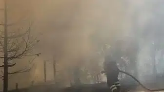 Muş'ta iki bölgede çıkan anız yangınları kontrol altına alındı