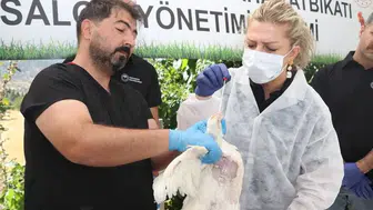 Elazığ'da kuş gribi için saha tatbikatı gerçekleştirildi