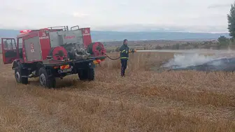 Bolu’da elektrik tellerine çarpan kuş yangına sebep oldu
