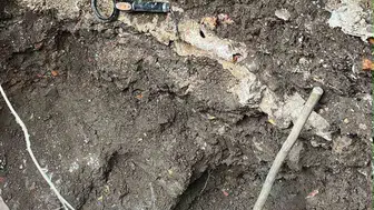 Kastamonu’da tarihi eser ve uyuşturucu madde ele geçirildi, 7 gözaltı