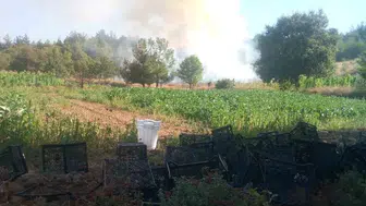 Bursa Kestel’de orman yangını: Ekipler havadan ve karadan müdahaleye başladı