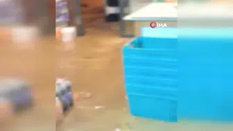 Rize'de şiddetli yağış sonrası sel felaketi: Araçlar su altında kaldı