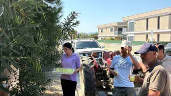 Germencik Belediyesi, üreticileri yalnız bırakmayarak hasat dönemi desteğini sürdürüyor