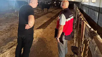 Tavşanlı'da ithal hayvanların sağlık kontrolleri yapıldı
