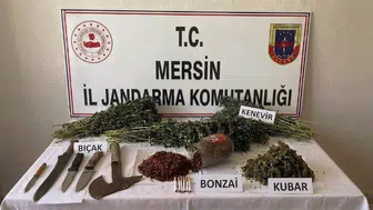 Mersin'de jandarmadan uyuşturucu operasyonu: bir kişi tutuklandı