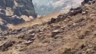 Nazımiye'de orman yangınına iki yönlü müdahale devam ediyor