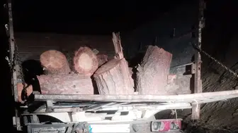 Kahramanmaraş'ta kaçak orman emvali tespit edildi