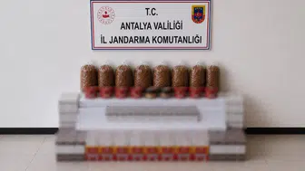 Manavgat'ta tütün kaçakçılığına darbe: 30 bin dolu makaron ele geçirildi