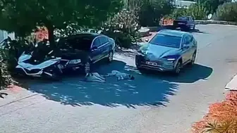 Bodrum'da iki köpeğin üzerinden geçen otomobil güvenlik kamerasında