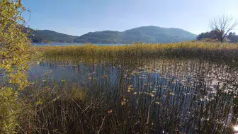 Abant gölünde doğayla buluşan ziyaretçiler yoğun ilgi gösterdi