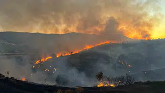 Siirt'te alevler yerleşim alanına yaklaşıyor, itfaiye seferber oldu