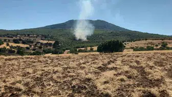 Mihalıççık'ta orman yangınına müdahale devam ediyor