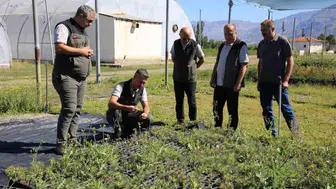 Erzincan'da 2026 yılı fidan üretim çalışmaları gözden geçirildi
