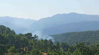 Kopan enerji hattı orman yangınına yol açtı