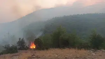 Kozan'daki orman yangını yerleşim alanına yaklaştı ama ekipler müdahale etti