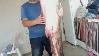 Edirne'deki Meriç Nehri'nde yakalanan dev yayın balığı görenleri hayran bıraktı