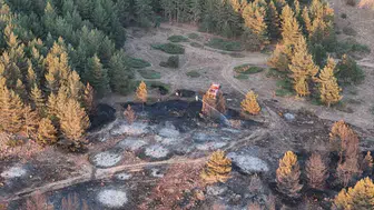Bolu'da orman yangını kontrol altına alındı: Kısa sürede müdahale ile alevler söndürüldü