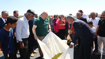 Adıyaman'da bağ bozumu şenlikleri başladı: Gölbaşı Peygamber Üzümü öne çıkıyor