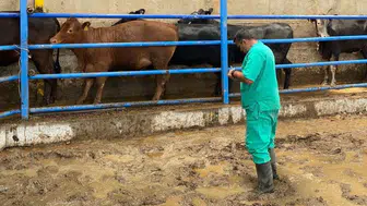 Beyşehir’de hayvan sağlığı için işletmeler ziyaret ediliyor