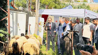 Şırnak'ta çiftçilere 152 bin sebze fidesi ve çoban çantası desteği