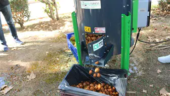 Büyükşehir ceviz soyma makinesi ile üreticileri destekliyor
