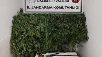Balıkesir'de jandarmadan uyuşturucuya karşı etkili operasyon