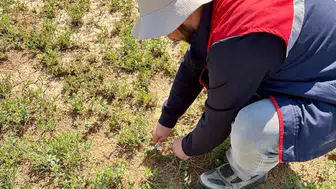 Afyonkarahisar'da tarımsal kontrol çalışmaları hız kazandı
