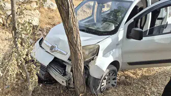 Gaziantep'te kontrolden çıkan araç ağaca çarptı: İki kişi yaralandı