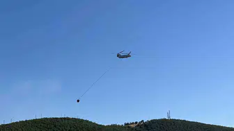 Uşak'taki meşelik yangını hızla kontrol altına alındı