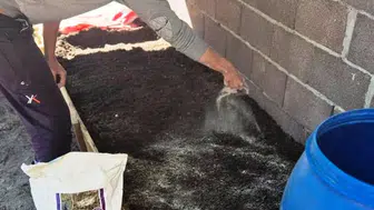 Pazarlar'da salep üretim alanında ekim kontrolü yapıldı