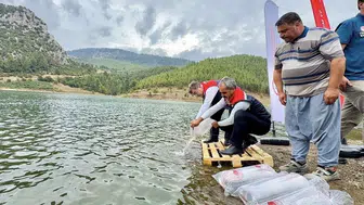 Mersin’de 17 göl ve gölete 347 bin yavru sazan bırakıldı