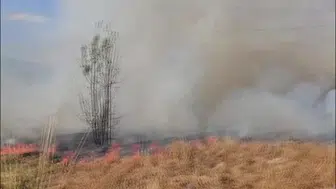 Bingöl'de otluk alanda yangın kontrol altına alındı