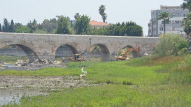 Durumu fırsat bildiler: Sinekler çoğalınca fiyatı iki kat arttı