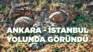 Zonguldak'ta Keşfedilmeyi Bekleyen Yumurta Kayaları